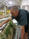Gluing down the new track